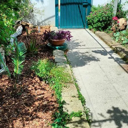 Apartmán Greenhouse_anzio Anzio